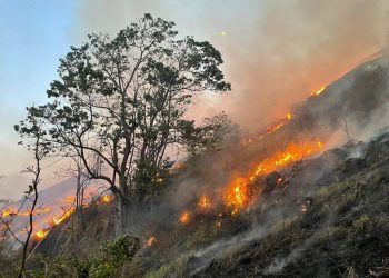Homem é detido após ser flagrado ateando fogo em área rural de Sete Lagoas.