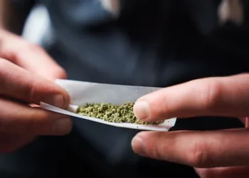 Câmara de BH aprova multa de R$ 1.380 para quem fumar maconha em lugares públicos