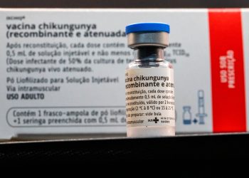 Vacina contra chikungunya começa dia 25 em Sete Lagoas